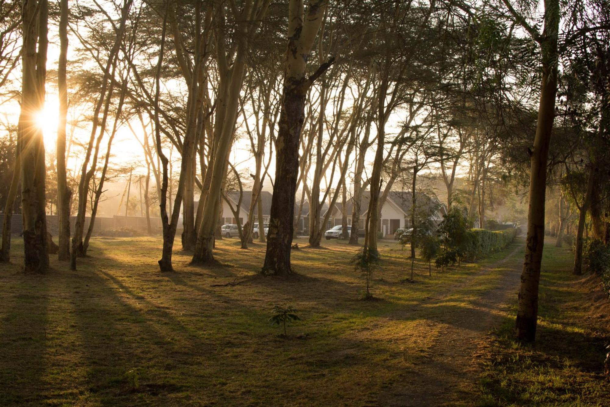 Burch'S Resort Naivasha Camping Kültér fotó